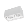 OPBOUW DOWNLIGHTER CAJA LED 2-LICHTS